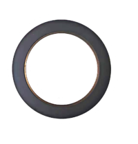 32/31 pair of poles 2 Track nonius encoder disc for magnetic encoder IC HAUS iC-MU128 Axial Assembly