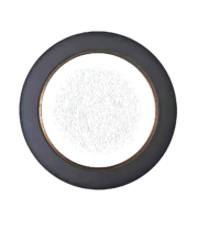 32/31 pair of poles 2 Track nonius encoder disc for magnetic encoder IC HAUS iC-MU150 Axial Assembly